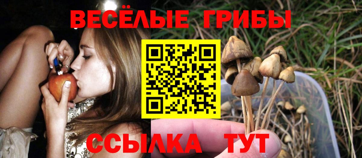 Галлюциногенные грибы прущие грибы  Вход с VPN  Псилоцибиновые грибы мухоморы  Белогорск 